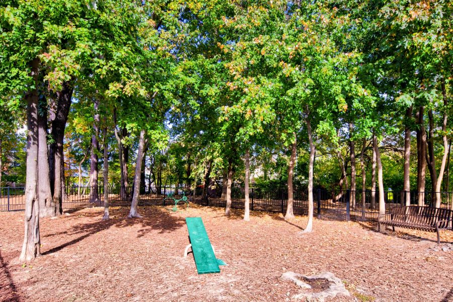 Solace Apartments A green seesaw sits in a shaded, fenced park area surrounded by tall trees and fallen leaves.
