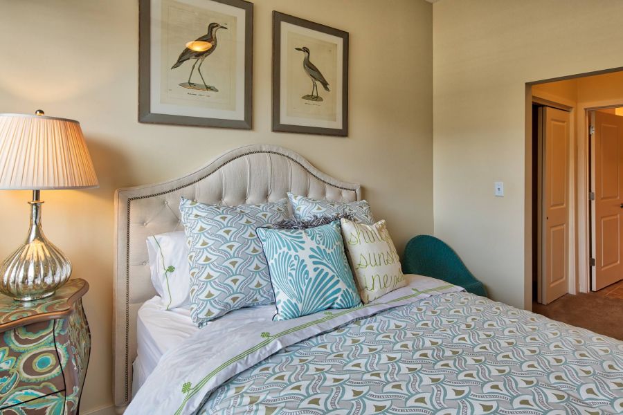 Solace Apartments Cozy bedroom with patterned bedding, bird artwork above the bed, and a lamp on a decorative nightstand.