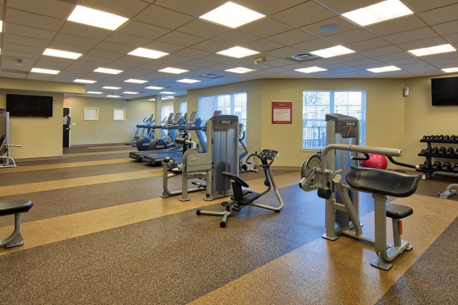 Solace Apartments Spacious gym with cardio machines, weight benches, strength machines, and free weights, under bright lights.